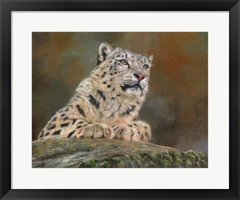 Framed Snow Leopard Rock Print