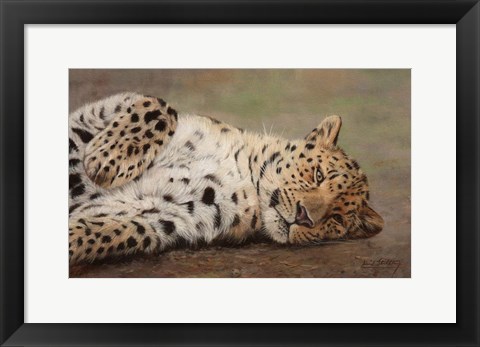 Framed Resting Leopard Print