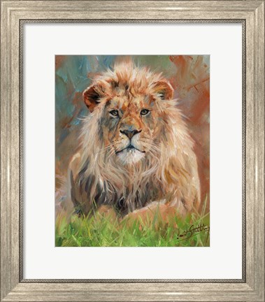 Framed Lion Front 1012 Print