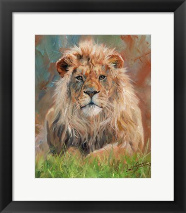 Framed Lion Front 1012 Print