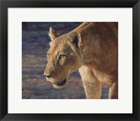 Framed Lioness South Luangwa Print