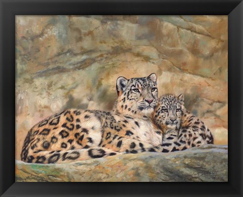 Framed Snow Leopards Circles Print