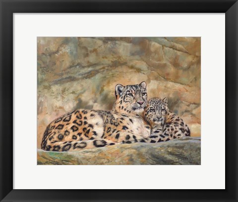 Framed Snow Leopards Circles Print