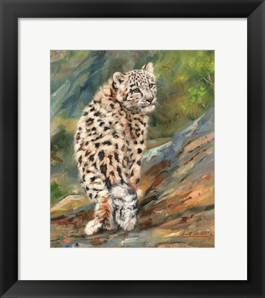 Framed Snow Leopard Cub Print