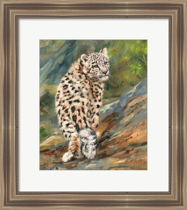 Framed Snow Leopard Cub Print