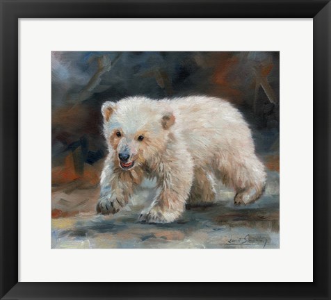 Framed Polar Bear Print