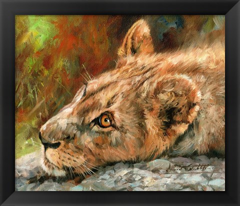 Framed Lion Cub Laying Down Print