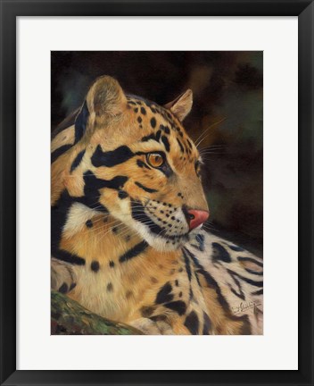 Framed Clouded Leopard Portrait Print