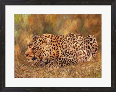 Framed Leopard About To Pounce Print