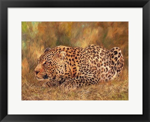 Framed Leopard About To Pounce Print