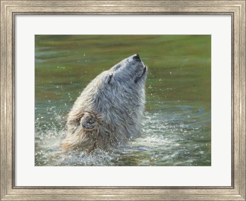 Framed Polar Bear Splash Print