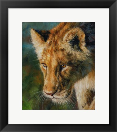 Framed Lioness Return Print