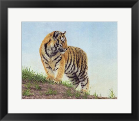 Framed Young Tiger 10 Print