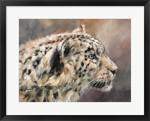 Framed Snow Leopard 86 Print