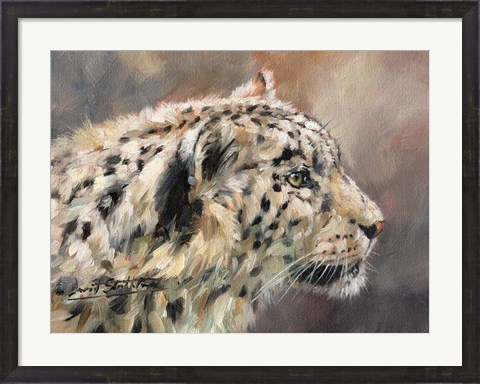 Framed Snow Leopard 86 Print