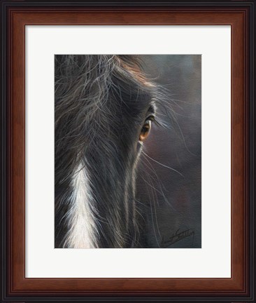 Framed Horse Portrait Print