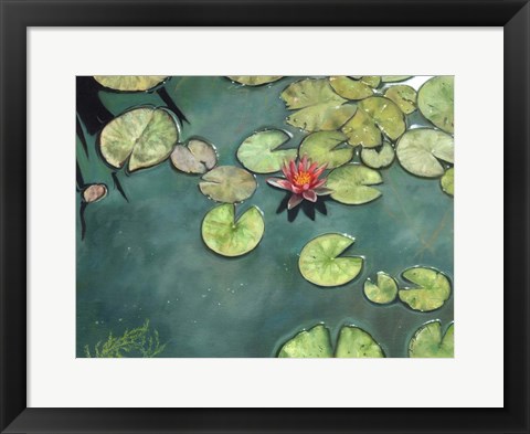 Framed Lilies Print