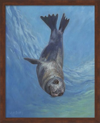 Framed Sealion Hello Print