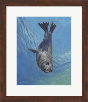 Framed Sealion Hello Print