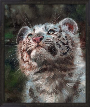 Framed White Tiger Cub Portrait Print