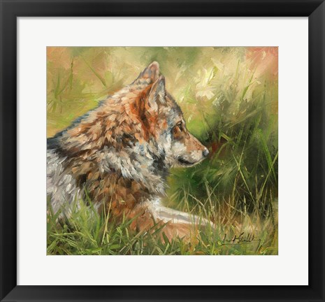 Framed Grey Wolf In Grass Print