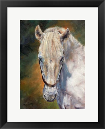 Framed White Horse Print