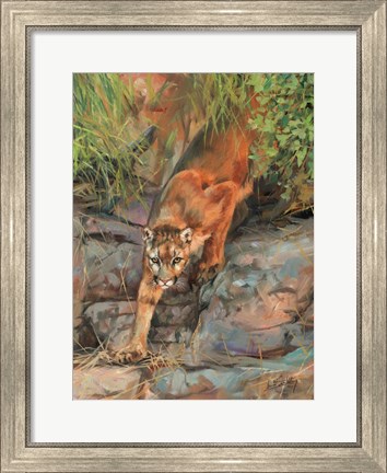 Framed Mountain Lion 2 Print