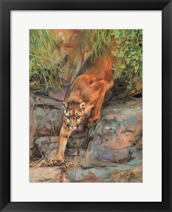 Framed Mountain Lion 2 Print