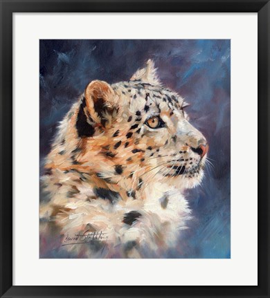 Framed Snow Leopard Portrait 2 Print