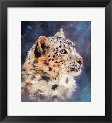 Framed Snow Leopard Portrait 2 Print