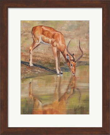 Framed Kudu Reflections Print