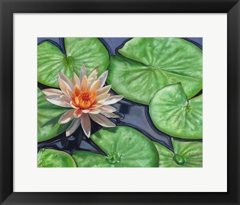 Framed Water Lily Print