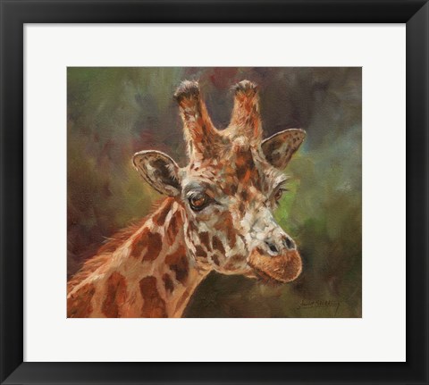 Framed Giraffe Portrait 2 Print