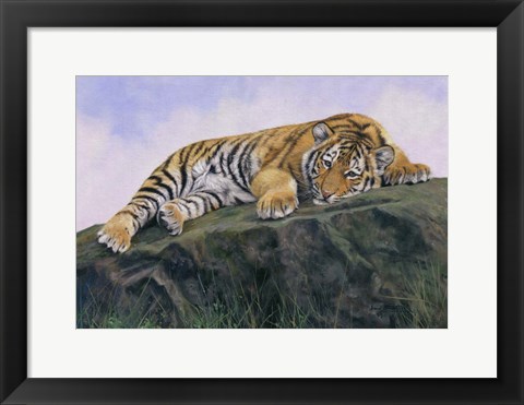 Framed Young Tiger Rock Print