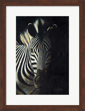 Framed Zebra Fade To Black Print