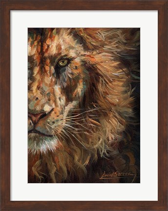 Framed Lion Half Face Print