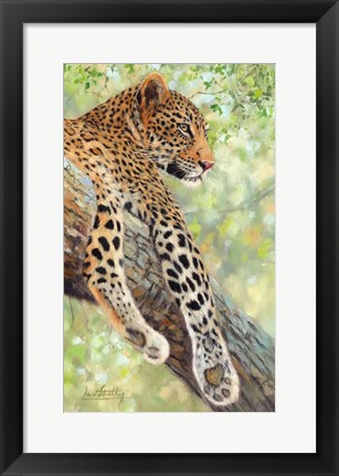 Framed Leopard Tree Print