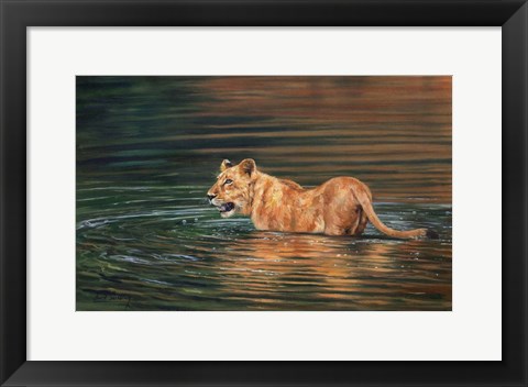 Framed Lioness Water Print