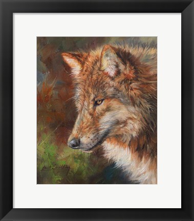 Framed Grey Wolf Face Print