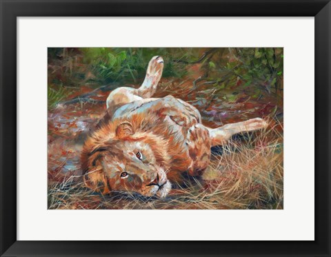 Framed Lion On Back Print