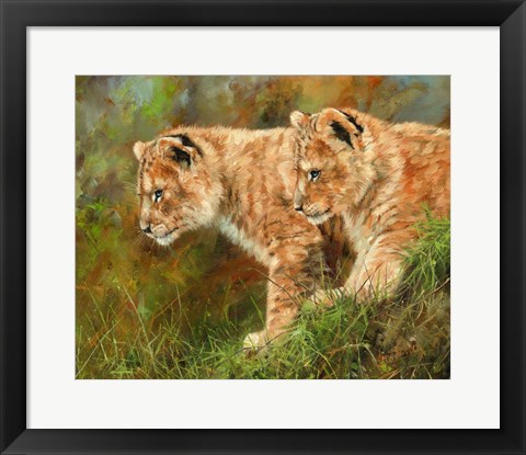 Framed Lion Siblings Print