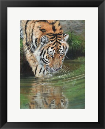 Framed Tiger Cub Reflections Print