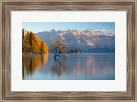 Framed Wanaka Print