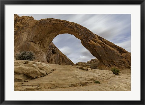 Framed Corona Arch Print