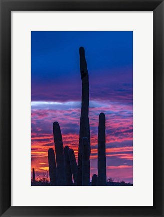 Framed Blue Skies Print