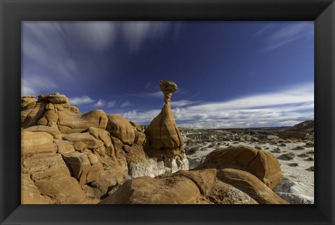 Framed Toadstools Print