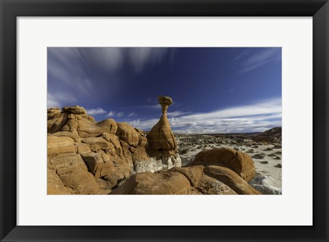 Framed Toadstools Print