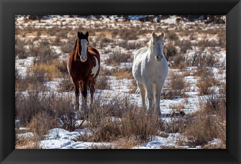 Framed Horses Print