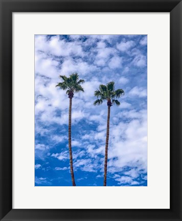 Framed Palms &amp; Blue Skies Print