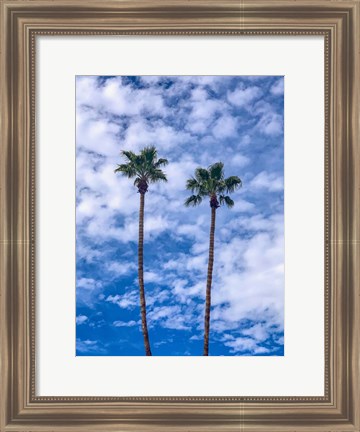 Framed Palms &amp; Blue Skies Print